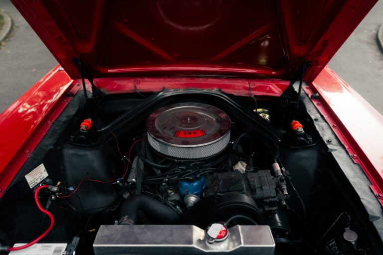 1966 Ford Mustang photo 111