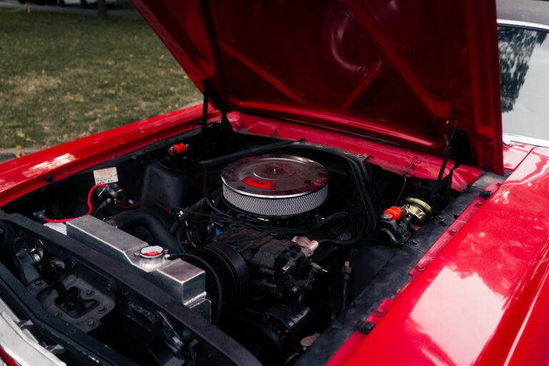 1966 Ford Mustang photo 113
