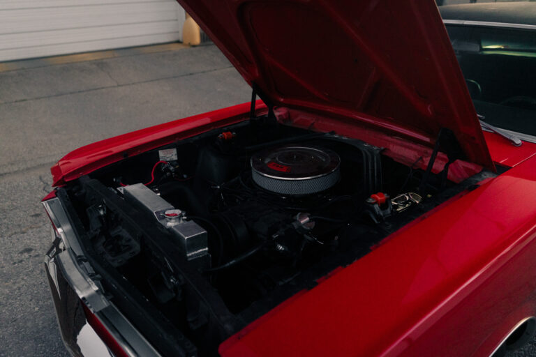 1966 Ford Mustang photo 117