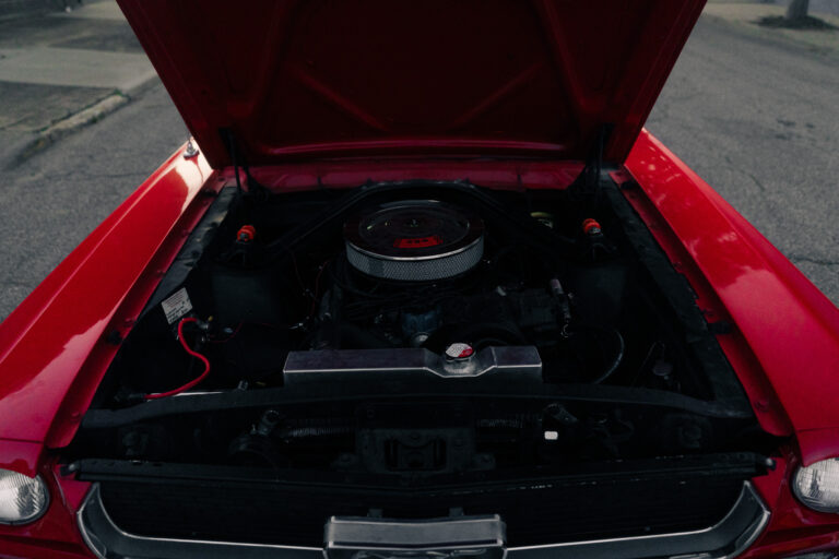 1966 Ford Mustang photo 119
