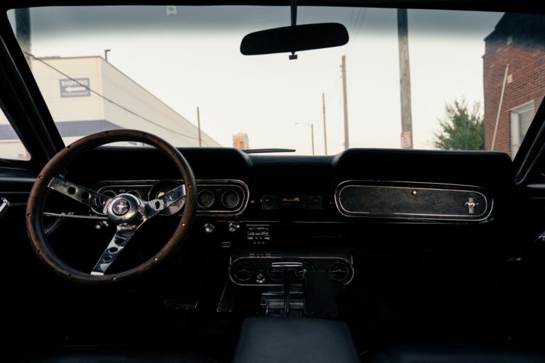 1966 Ford Mustang photo 89
